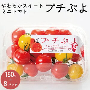yӂ邳Ɣ[Łz g}g ~jg}g 1.2kg (150g×8) Jtg}g v`Ղ 2025N 11` \ XC[g~jg}g  ₳ ʕ XC[c W[X g}gW[X hbVO T