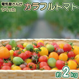 【ふるさと納税】 ミニトマト 2kg 小分け 250g×8袋 カラフル トマト ミディトマト ミニトマト 野菜 やさい 果物 スイーツ ジュース トマトジュース パスタ スパゲティー ソース サラダ ドレッシング サンドイッチ ケチャップ ピザ カレー プチトマト 四電工 徳島県 吉野川市