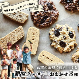 【ふるさと納税】 【こだわり有機素材を使用】 薪窯の余熱で焼き上げる 薪窯 クッキー おまかせ 3種 食べられない食材がある方にもおすすめ、滋味いっぱいのおやつ 有機 オートミール カカオ レーズン 詰め合わせ オーガニック 手作り 朝ごはん おやつ 徳島県 吉野川市