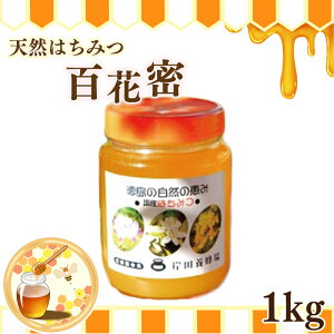 yӂ邳Ɣ[Łz ݂͂ SԖ Iׂ e 250g  1kg VR݂͂ I Mtg  lC ݂͂  O [Og p XC[c  e N h{Lx 퉷ۑ 