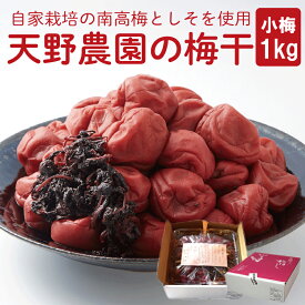 【ふるさと納税】 梅干し 1kg 南高梅 昔ながら 酸っぱい 小梅 しそ 酸味 国産 自家栽培 梅 保存料 不使用 着色料 不使用 米 のお供 おにぎり お弁当 漬物 梅干しごはん 常備食 梅干 1キロ 梅ぼし うめ干し お取り寄せ 美郷 天野農園 徳島県 吉野川市