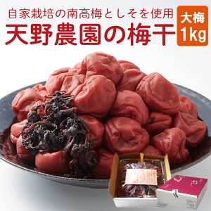 yӂ邳Ɣ[Łz ~ ̂Ȃ̂ς~ 嗱 1kg 썂~ ~  ʕ t[c   ܂  ٓ y Е r[ nC{[ Ē ʎ Mtg   
