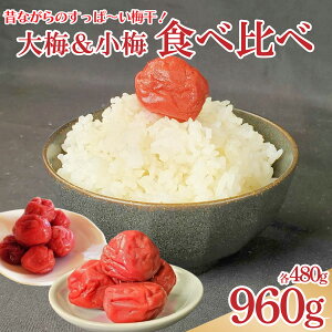 yӂ邳Ɣ[Łz ~ ̂Ȃ̂ς~ ~ ~ Zbg e480g ~  ʕ   ܂ ٓ y Е ~͂  r[ nC{[ Ē ʎ Mtg v[