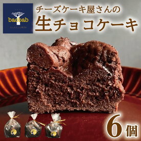 【ふるさと納税】 生チョコ ケーキ 6個 冷凍 個包装 ショコラ 生チョコケーキ 生チョコレート チョコレート ギフト お菓子 スイーツ デザート セット おやつ 焼き菓子 洋菓子 ギフト 差し入れ 贈り物 記念日 バレンタイン ティラミス ガトーショコラ 徳島県 吉野川市