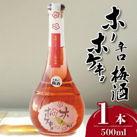 【ふるさと納税】 梅酒 ホーホケキョ 辛口 500ml 1本 梅 うめ 果物 フルーツ 梅酒 うめしゅ 酒 果実酒 さけ ビール ハイボール チューハイ 日本酒 ウイスキー ワイン ギフト 贈答 プレゼント お取り寄せ グルメ 送料無料 徳島県 吉野川市