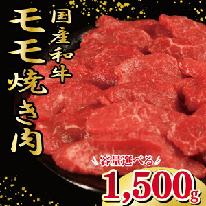 yӂ邳Ɣ[Łz   Ⓚ 500g  1.5kg ׂe ē Ya a ē Ԑg ɂ イ   o[xL[ BBQ ₫ɂ j Cxg p[eB[  ܂ 