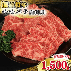yӂ邳Ɣ[Łz   o 500g 1kg 1.5kg ׂe ē Ya a o Ă Ԑg ɂ イ  o[xL[ BBQ o ₫ɂ j Cxg p[eB[ 