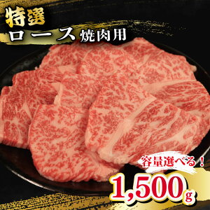 yӂ邳Ɣ[Łz  I [X ēp 500g 1kg 1.5kg ׂe ē Ya a Ă Ԑg ɂ イ  o[xL[ BBQ ₫ɂ j Cxg p[eB[  