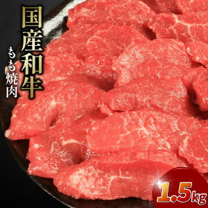 yӂ邳Ɣ[Łz   Ⓚ 500g  1.5kg ׂe ē Ya a ē Ԑg ɂ イ   o[xL[ BBQ ₫ɂ j Cxg p[eB[  ܂ 