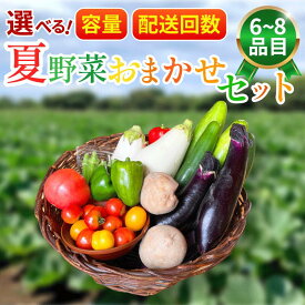 【ふるさと納税】 野菜 夏野菜 セット 6～8品 選べる 容量 選べる 配送回数 年2回 年4回 詰め合わせ 茄子 きゅうり ピーマン トマト ミニトマト 白茄子 オクラ 大葉 枝豆 ズッキーニ ししとう とうもろこし パプリカ じゃがいも たまねぎ にんじん 森商店 徳島県 吉野川市