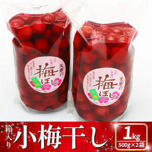 yӂ邳Ɣ[Łz ~ 1kg (500g×2) ~  ʕ t[c   ܂  ٓ y H Е r[ nC{[ Ē ʎ Mtg v[g   s\ 2025N 11