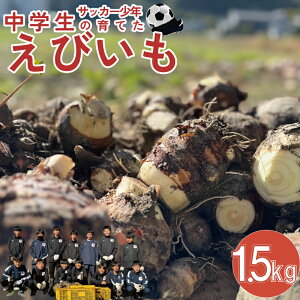 yӂ邳Ɣ[Łz GrC т 1.5kg 1 CV   TCY s  w TbJ[`[  H  gs