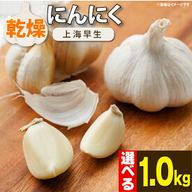 【ふるさと納税】 にんにく 乾燥 国産 500g 1kg 選べる容量 乾燥にんにく 【先行予約】 常備食 便利 ニンニク スープ 料理 風味豊か 保存食 常温保存 手軽 国産にんにく おつまみ トッピング 香り豊か 旨味 アレンジ 国産 パスタ 野菜炒め ギョーザ 徳島県 吉野川市