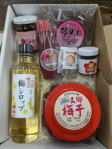 【ふるさと納税】 新・美郷梅づくし(吉野川市美郷産品詰め合わせ)