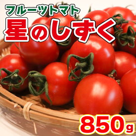 【ふるさと納税】 フルーツ トマト 850g以上 11月出荷開始 糖度8度以上 星のしずく