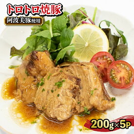 【ふるさと納税】 焼き豚 焼豚 本格 チャーシュー 無添加 小分け 5パック 豚 ウデ肉 おかず 主菜 お惣菜 おつまみ お手軽 レトルト 便利 簡単調理 時短調理 しょうゆダレ 角煮 煮豚 ご飯のお供 チャーハン 肉厚 阿波美豚 お取り寄せ グルメ リーベフラウ