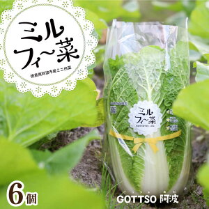 yӂ邳Ɣ[Łz  ~j 3 6  ₳  ͂  X[v X` Е Lq L` Mtg 蕨 v[g  O r^~ N e ①  Yn