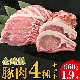 【ふるさと納税】 豚肉 小分け 真空パック セット 金時豚 4種 960g 1.9kg 切り落とし ロース とんかつ バラ ロース 焼肉 ぶたにく 豚 ぶた 肉 にく ポーク ブランド 高級 冷凍 BBQ おかず おつまみ 惣菜 弁当 日用 ギフト 贈答 プレゼント お取り寄せ グルメ 送料無料