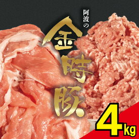 【ふるさと納税】 豚肉 小分け 真空パック 切り落とし ミンチ 選べるセット 1kg 2kg 4kg 金時豚 国産 ブランド 豚 ぶた 肉 にく ポーク しゃぶしゃぶ ひきにく 挽き肉 冷凍 赤身 豚こま 鍋 焼肉 おかず おつまみ 弁当 日用 BBQ ギフト プレゼント 人気 おすすめ 送料無料