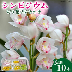 yӂ邳Ɣ[Łz m   VrWE ؂ lߍ킹  Mtg  m G   gs