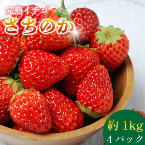 yӂ邳Ɣ[Łz  ̂ 4pbN ( 280g × 4 ) 嗱 ʕ t[c  Xgx[ P[L ACX ^g X[W[ mَq aَq t[cTh t[c啟 啟 v[