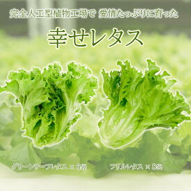 【ふるさと納税】 野菜 レタス 栽培期間中農薬不使用 詰め合わせ セット 計14個 サラダ グリーンリーフレタス 6個 フリルレタス 8個 水耕栽培 LED 栽培 低菌 野菜 丸ごと ベジタブル 副菜 常備菜 サラダ ヴィーガン ヘルシー 幸せレタス