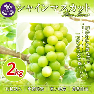 yӂ邳Ɣ[Łz VC}XJbg  1kg  1.5kg  2kg2025N8{9{ Ԃǂ  }XJbg t[c ʕ [[ W[X ACX fU[g XC[c P[L O