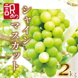 yӂ邳Ɣ[Łz 󂠂 VC}XJbg Iׂe 1kg 1.5kg 2kg  2025N8{?9{  Ԃǂ  }XJbg t[c ʕ [[ W[X ACX fU[g XC[