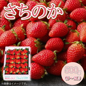 【ふるさと納税】 いちご 苺 500g 1kg S~2L サイズ混合 不揃い さちのか ジャム スイーツ ケーキ 果物 フルーツ デザート お菓子 ジャム アイス シャーベット スムージー ヨーグルト クレープ タルト チョコ 大福 フルーツサンド 阿波市産 徳島県 四国