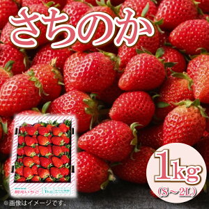 yӂ邳Ɣ[Łz   500g 1kg S~2L TCY s ̂ W XC[c P[L ʕ t[c fU[g َq W ACX V[xbg X[W[ [Og N[v ^