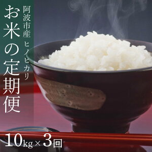 yӂ邳Ɣ[Łz  RVqJ qmqJ Iׂe 5kg 10kg 20kg  3 ߘa7NY      ͂ ɂ    Hi ~ ~ ۑ h Mtg 