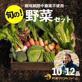 【ふるさと納税】 野菜 野菜セット コーン 玉ねぎ にんじん じゃがいも 季節の 詰め合わせ セット 10～12品目 阿波市 徳島県