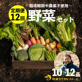 【ふるさと納税】 野菜 お楽しみ 定期便 12回 10~12品目 詰め合わせ セット 玉ねぎ とまと じゃがいも