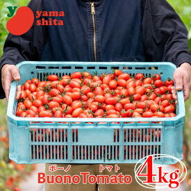 【ふるさと納税】 ボーノトマト 4kg ミニトマト アイコ トマト 農家直送 夏野菜 サラダ 阿波市 徳島県