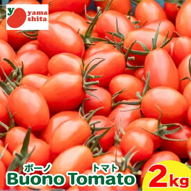 【ふるさと納税】 ミニトマト ボーノトマト 2kg 4kg アイコ トマト フルーツトマト 農家直送 夏野菜 サラダ 先行予約 阿波市 徳島県