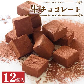 【ふるさと納税】 生チョコ 12個 セット 冷凍 チョコレート スイーツ 洋菓子 デザート お菓子 おやつ 誕生日 記念日 ギフト プレゼント 贈答 バレンタイン 送料無料 徳島県 阿波市 CAKE EXPRESS 5000円