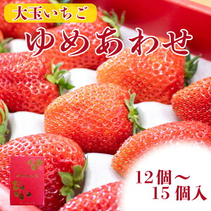 yӂ邳Ɣ[Łz  悢Ђ  1215 ϔ s\ p 嗱 ʕ t[c  Xgx[ P[L ACX ^g W[X [[ WF[g V[xbg W