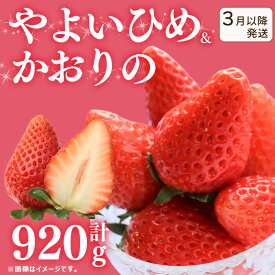 【ふるさと納税】 訳あり いちご やよいひめ かおりの 2種 選べる容量 計920g 1840g 苺 ストロベリー 先行予約 果物 フルーツ ケーキ ゼリー ジュース アイス シャーベット いちご大福 スイーツ デザート ジャム 不揃い 規格外 家庭用 甘い 人気 おすすめ お取り寄せ グルメ