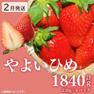 yӂ邳Ɣ[Łz 󂠂  悢Ђ v 9201840g  s\ Xgx[ ʕ t[c P[L [[ W[X ACX V[xbg `R t[cTh mَq aَq XC