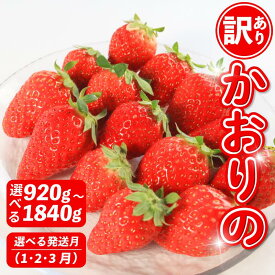 【ふるさと納税】 訳あり いちご かおりの 選べる容量 計920～1840g 苺 ストロベリー 果物 フルーツ ケーキ ゼリー ジュース アイス シャーベット フルーツサンド いちご大福 大福 洋菓子 スイーツ デザート ジャム 規格外 家庭用 甘い 人気 おすすめ お取り寄せ グルメ