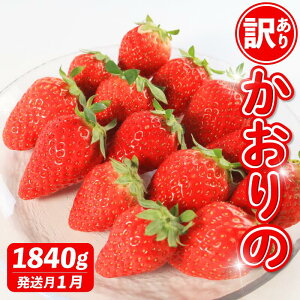 yӂ邳Ɣ[Łz 󂠂   Iׂe v920`1840g  Xgx[ ʕ t[c P[L [[ W[X ACX V[xbg t[cTh 啟 啟 mَq XC