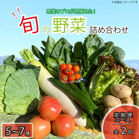 【ふるさと納税】 野菜 5~7品目 年2回 定期便 詰め合わせ セット 旬 新鮮 季節の野菜 なすび ブロッコリー キャベツ 白菜 レタス サニーレタス ほうれん草 きゅうり ピーマン とうもろこし トマト ミニトマト 大根 絹さや インゲン豆 玉ねぎ じゃがいも すだち 阿波市 徳島県