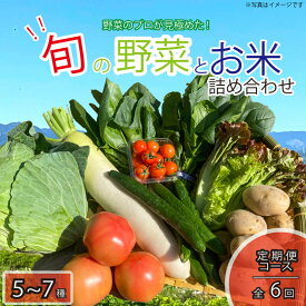 【ふるさと納税】 定期便 年6回 野菜 5~7品目 米 5kg 詰め合わせ セット 旬 新鮮 季節の野菜 なすび ブロッコリー キャベツ 白菜 レタス ほうれん草 きゅうり ピーマン とうもろこし トマト ミニトマト 大根 絹さや インゲン豆 玉ねぎ じゃがいも すだち 阿波市 徳島県