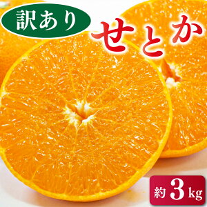 yӂ邳Ɣ[Łz 󂠂 TCYs ݂ Ƃ 3kg k̑g t[c Â r^~ fU[g W[X k 蕨 gs 