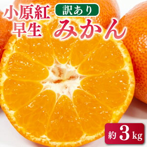 yӂ邳Ɣ[Łz 󂠂 s ݂  g 3kg k t[c W [[ W[X X[W[ In͔|