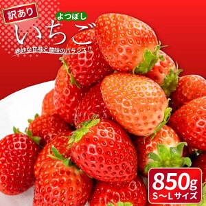 �y�ӂ邳�Ɣ[�Łz �󂠂� ������ ��ڂ� 850g����1.7kg �I�ׂ�e�� �ʕ� �t���[�c � �X�g���x���[ ��s�\�� �P�[�L �A�C�X �V���[�x�b�g �W�F���[�g �[���[ �W���[�X �W���� �X���[�W�[ �m��