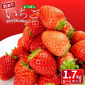 yӂ邳Ɣ[Łz 󂠂  ڂ 850g1.7kg Iׂe ʕ t[c  Xgx[ s\ P[L ACX V[xbg WF[g [[ W[X W X[W[ m