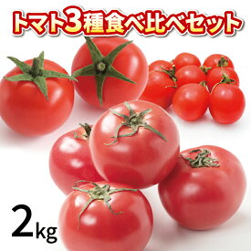 【ふるさと納税】 トマト ミニトマト 選べる容量 2kg 4kg 3種 食べ比べ セット 冷蔵 詰め合わせ 千果 フルティカ かれん 野菜 糖度 果物 パスタ スパゲティー ソース サラダ ドレッシング 鍋 サンドイッチ ギフト 贈答 お取り寄せ グルメ 送料無料 徳島県 阿波市
