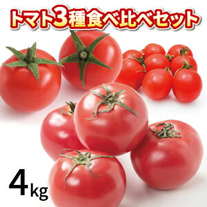 yӂ邳Ɣ[Łz g}g ~jg}g Iׂe 2kg 4kg 3 Hה Zbg ① lߍ킹  teBJ   x ʕ pX^ XpQeB[ \[X T_ hbVO  T