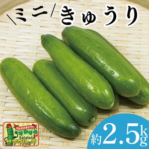 yӂ邳Ɣ[Łz イ ~jイ ӉZ v 2.5kg    sNX L` Е  Ė T^bN T_ ①